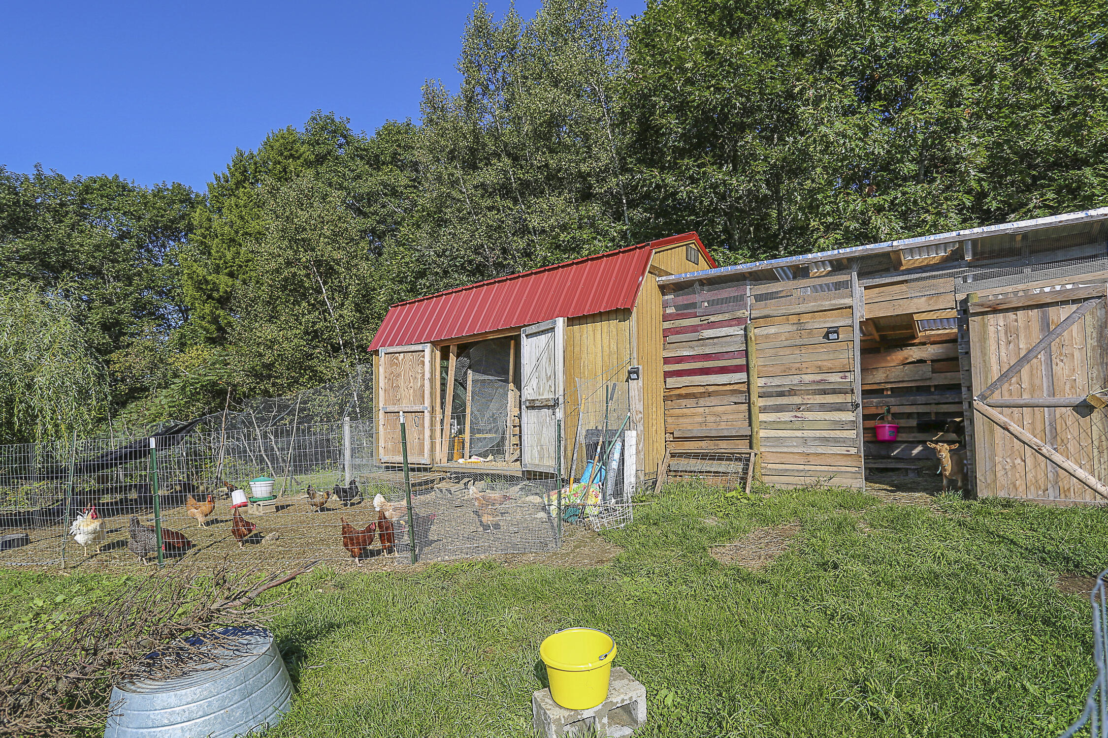 271 North Searsport Road Prospect, ME 04981 - Photo 30 of 43 OUtbuildings for small animals