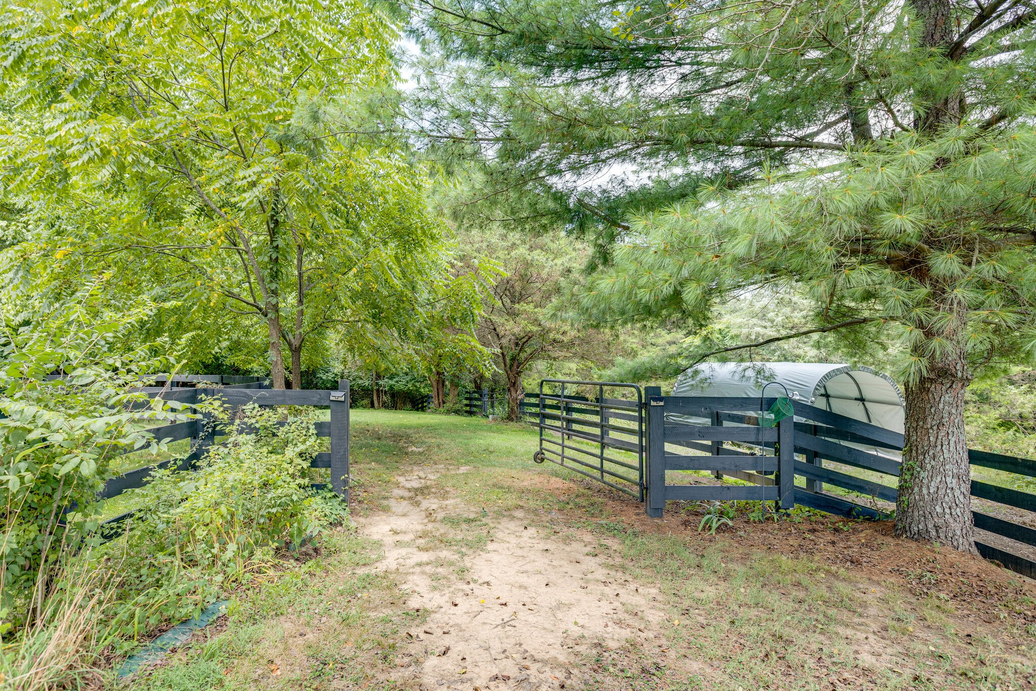 4348 South Carothers Road Franklin, TN 37067 - Photo 12 of 26 Gallery Image 12