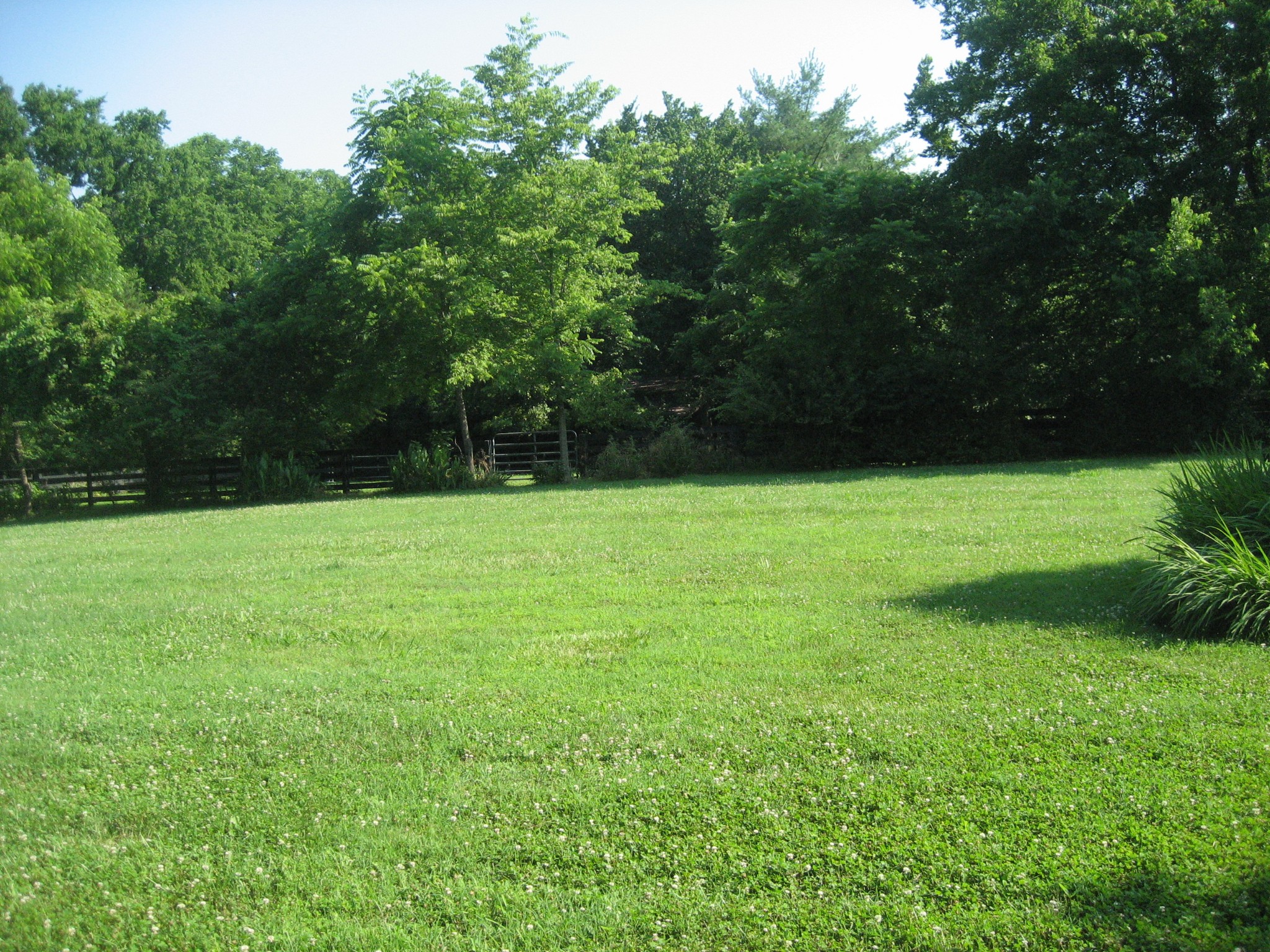 4348 South Carothers Road Franklin, TN 37067 - Photo 3 of 26 Gallery Image 3
