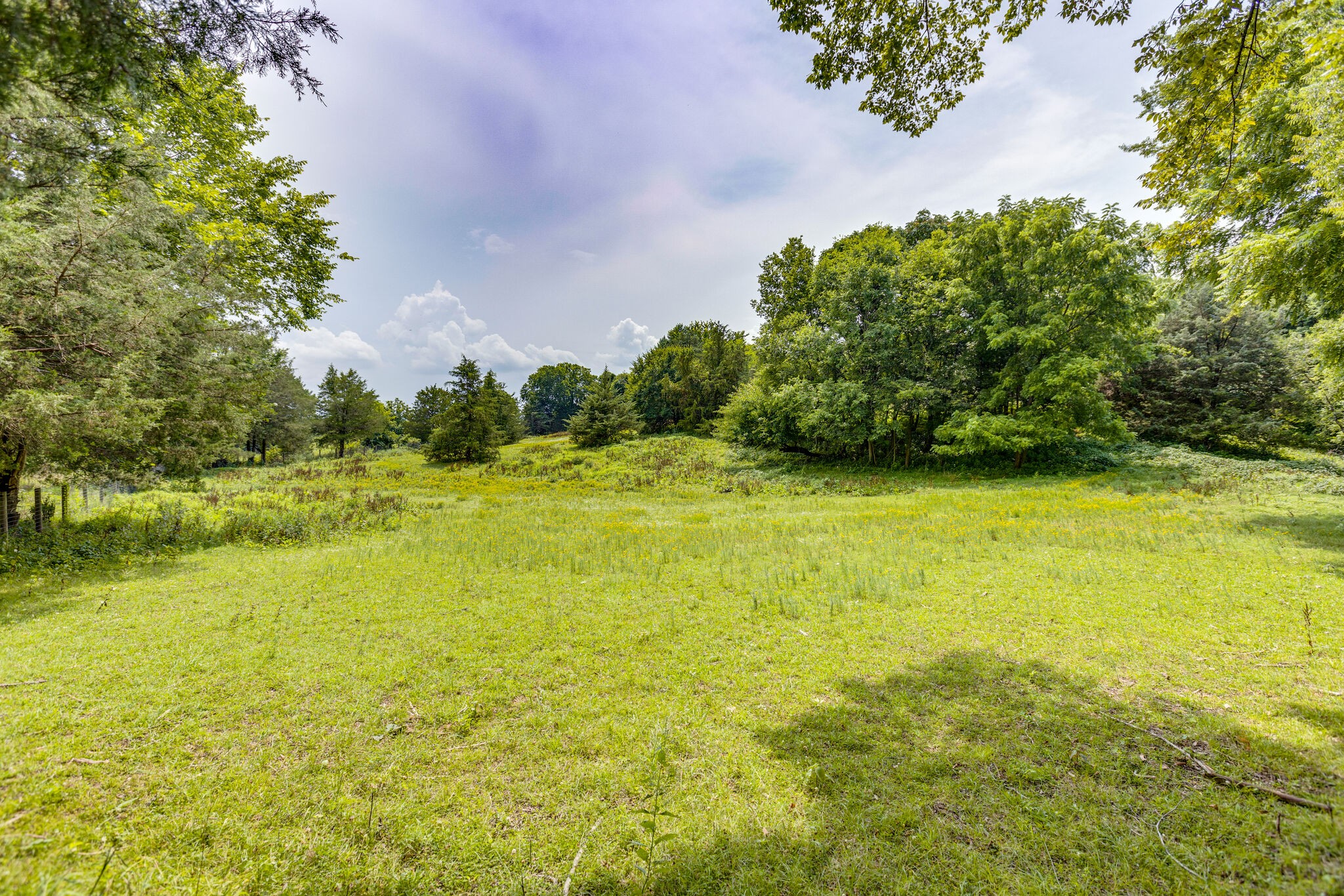 4348 South Carothers Road Franklin, TN 37067 - Photo 23 of 26 Gallery Image 23
