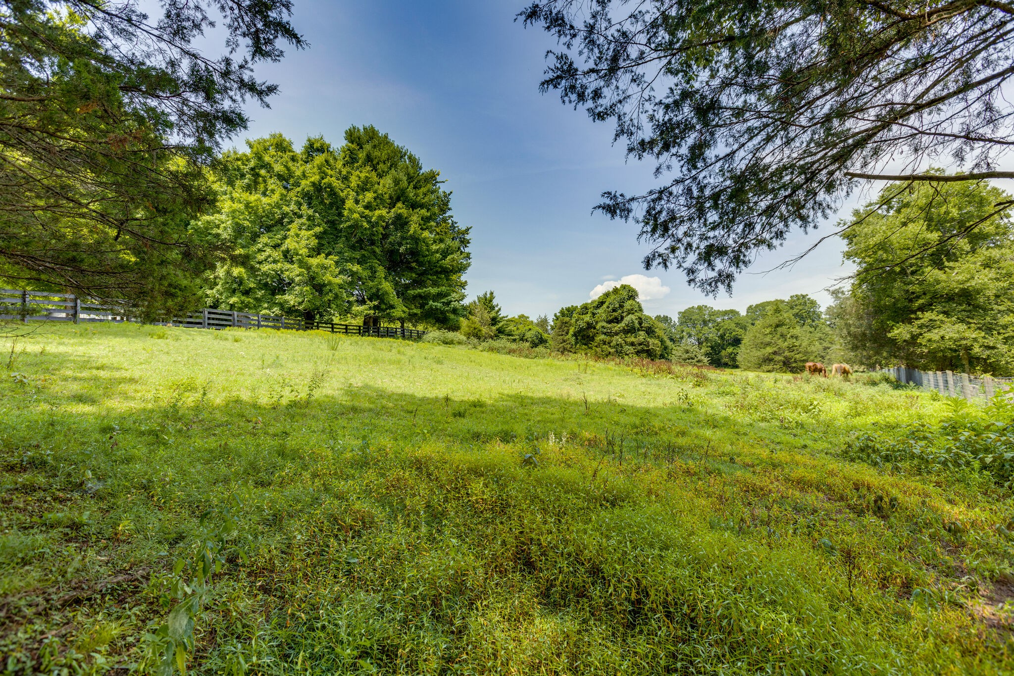 4348 South Carothers Road Franklin, TN 37067 - Photo 24 of 26 Gallery Image 24