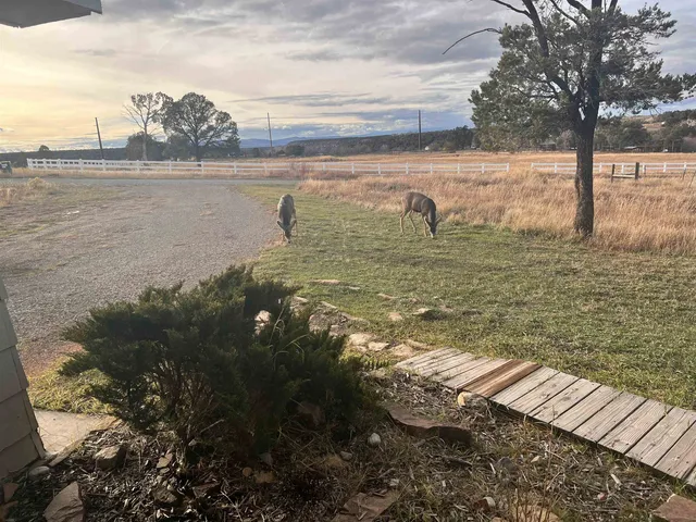 a view of a lake view