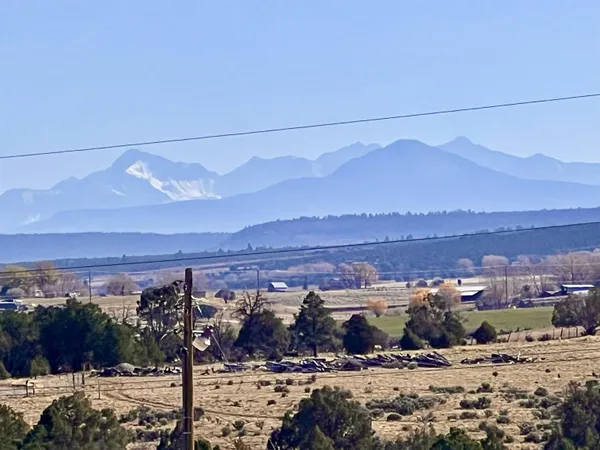 a view of a yard with a house in the background