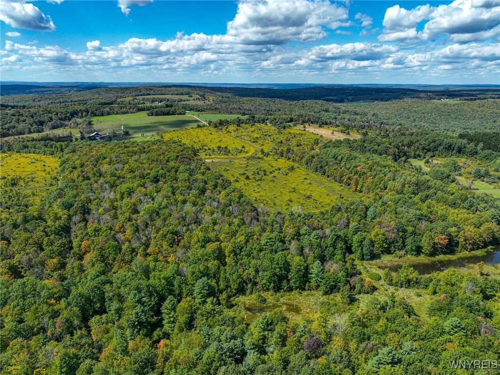 5420 Reed Road Friendship, NY 14739 - Photo 12 of 20