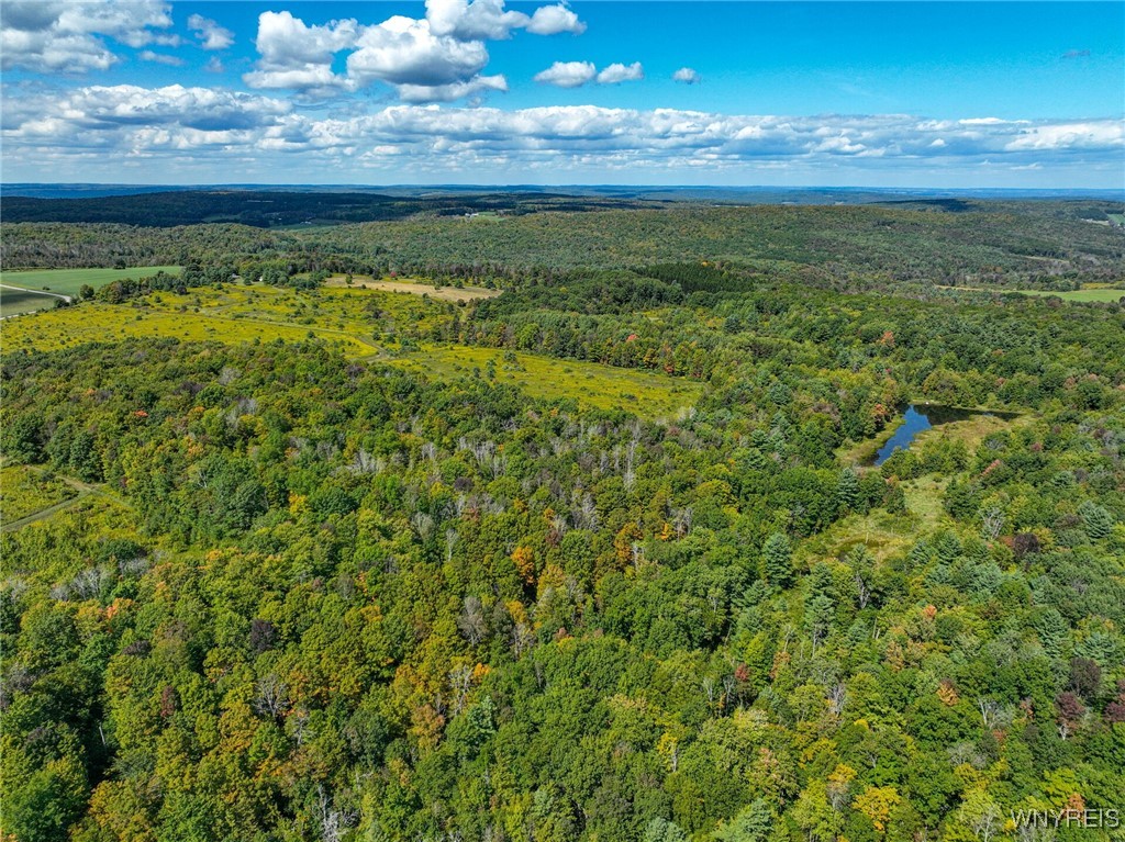 5420 Reed Road Friendship, NY 14739 - Photo 14 of 20