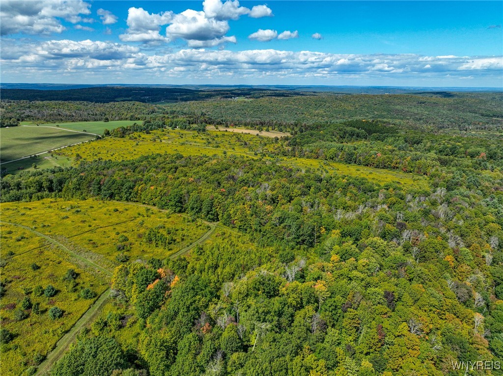 5420 Reed Road Friendship, NY 14739 - Photo 16 of 20