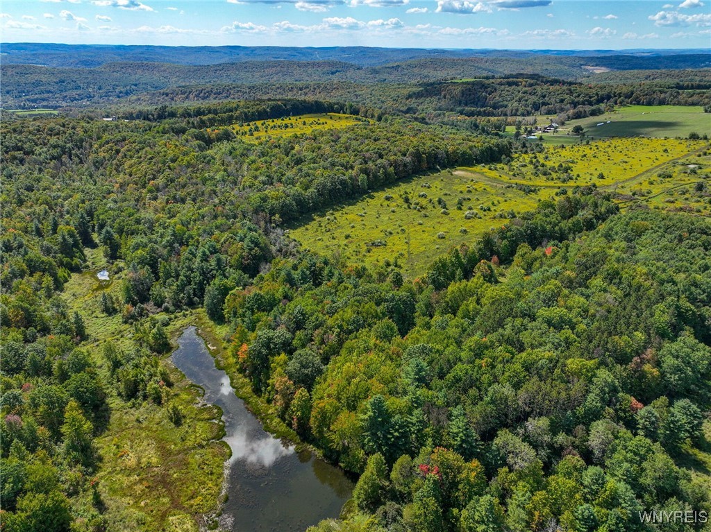 5420 Reed Road Friendship, NY 14739 - Photo 3 of 20