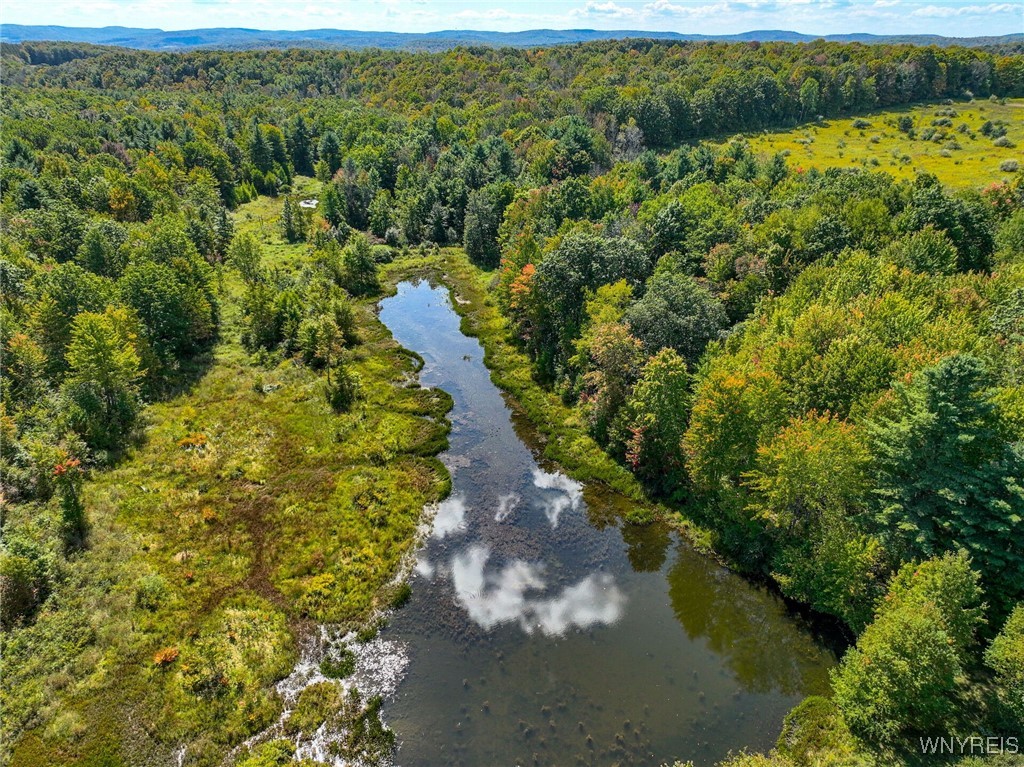 5420 Reed Road Friendship, NY 14739 - Photo 5 of 20