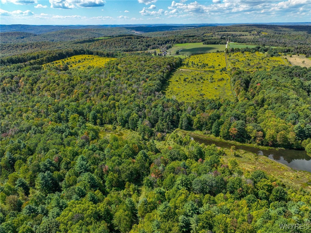 5420 Reed Road Friendship, NY 14739 - Photo 8 of 20