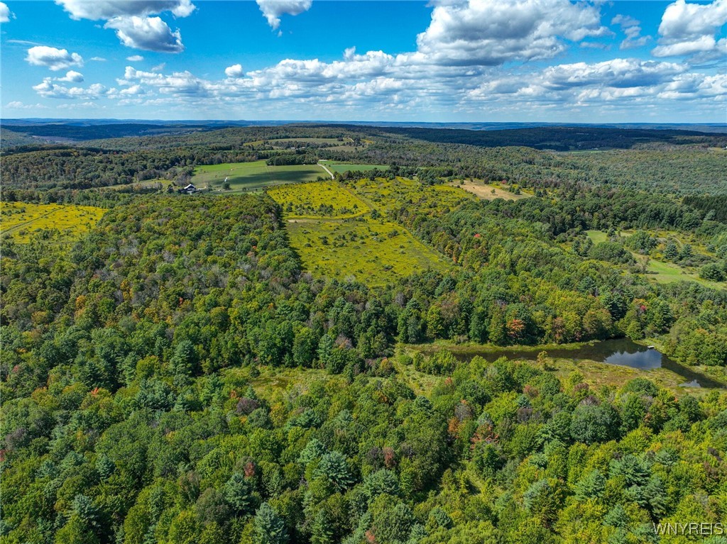 5420 Reed Road Friendship, NY 14739 - Photo 10 of 20