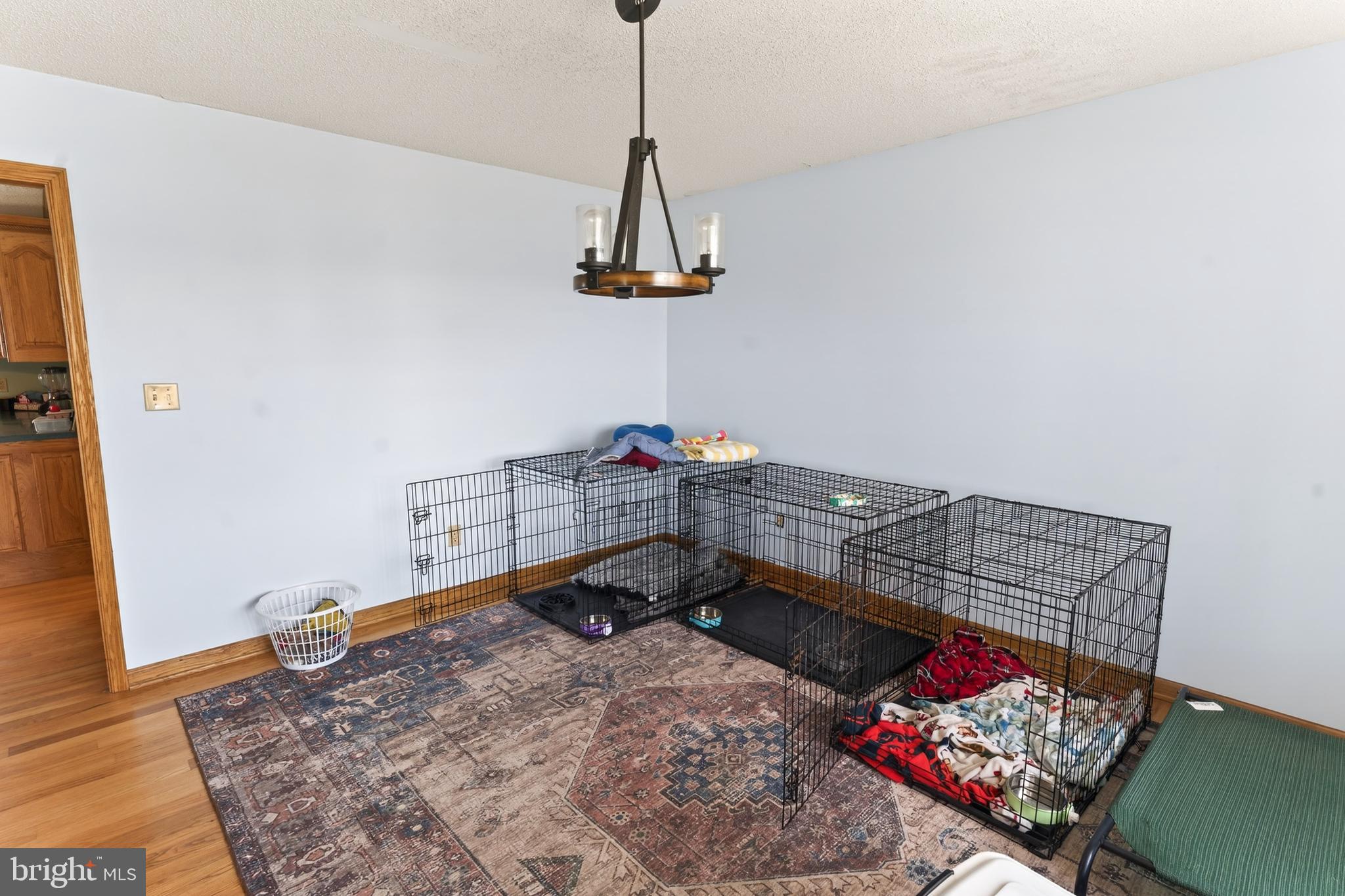 30077 Fire Tower Road Laurel, DE 19956 - Photo 18 of 68