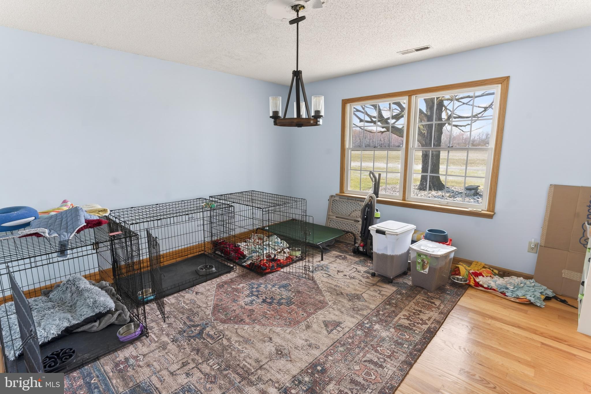 30077 Fire Tower Road Laurel, DE 19956 - Photo 19 of 68