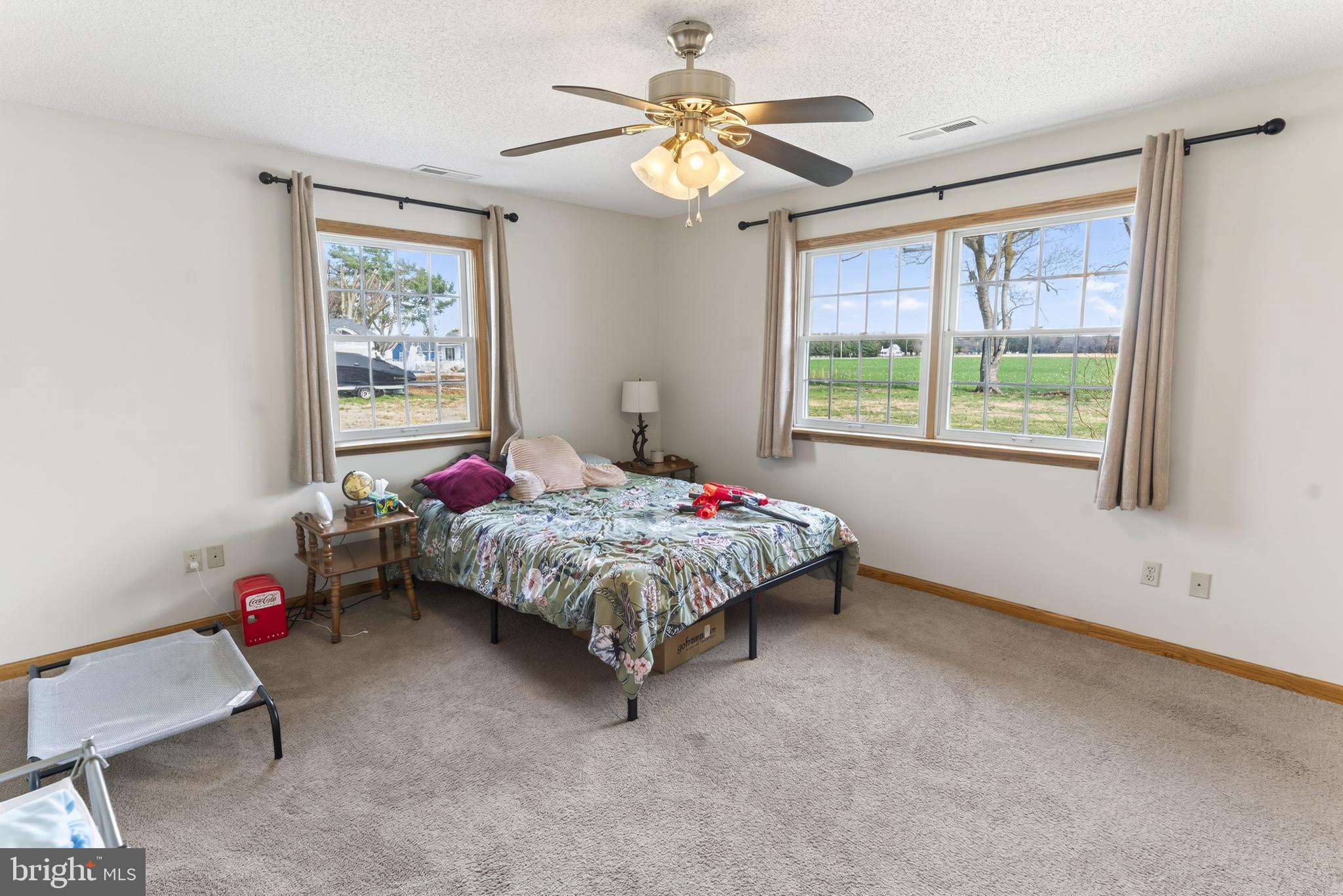 30077 Fire Tower Road Laurel, DE 19956 - Photo 40 of 68