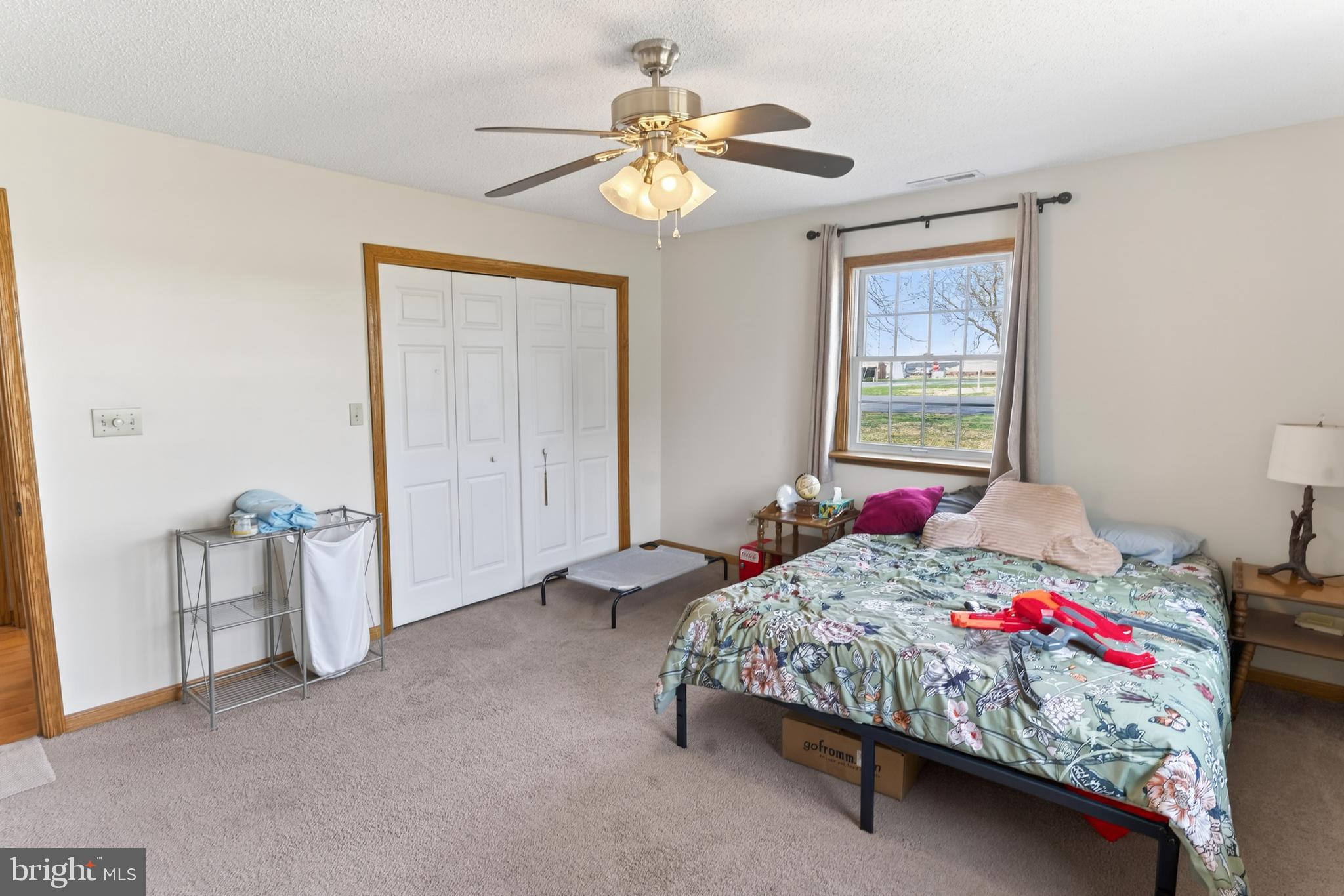 30077 Fire Tower Road Laurel, DE 19956 - Photo 41 of 68