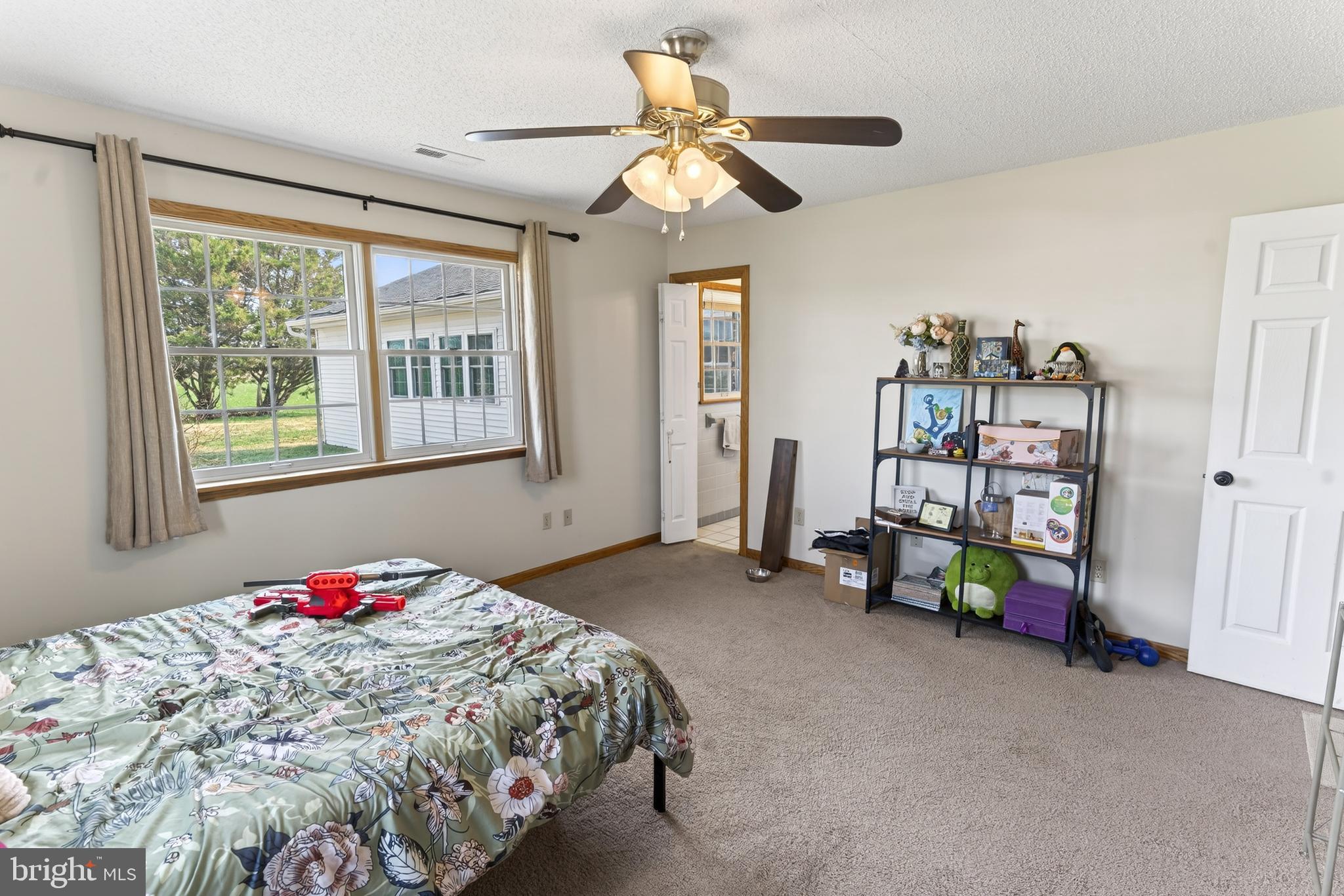 30077 Fire Tower Road Laurel, DE 19956 - Photo 42 of 68