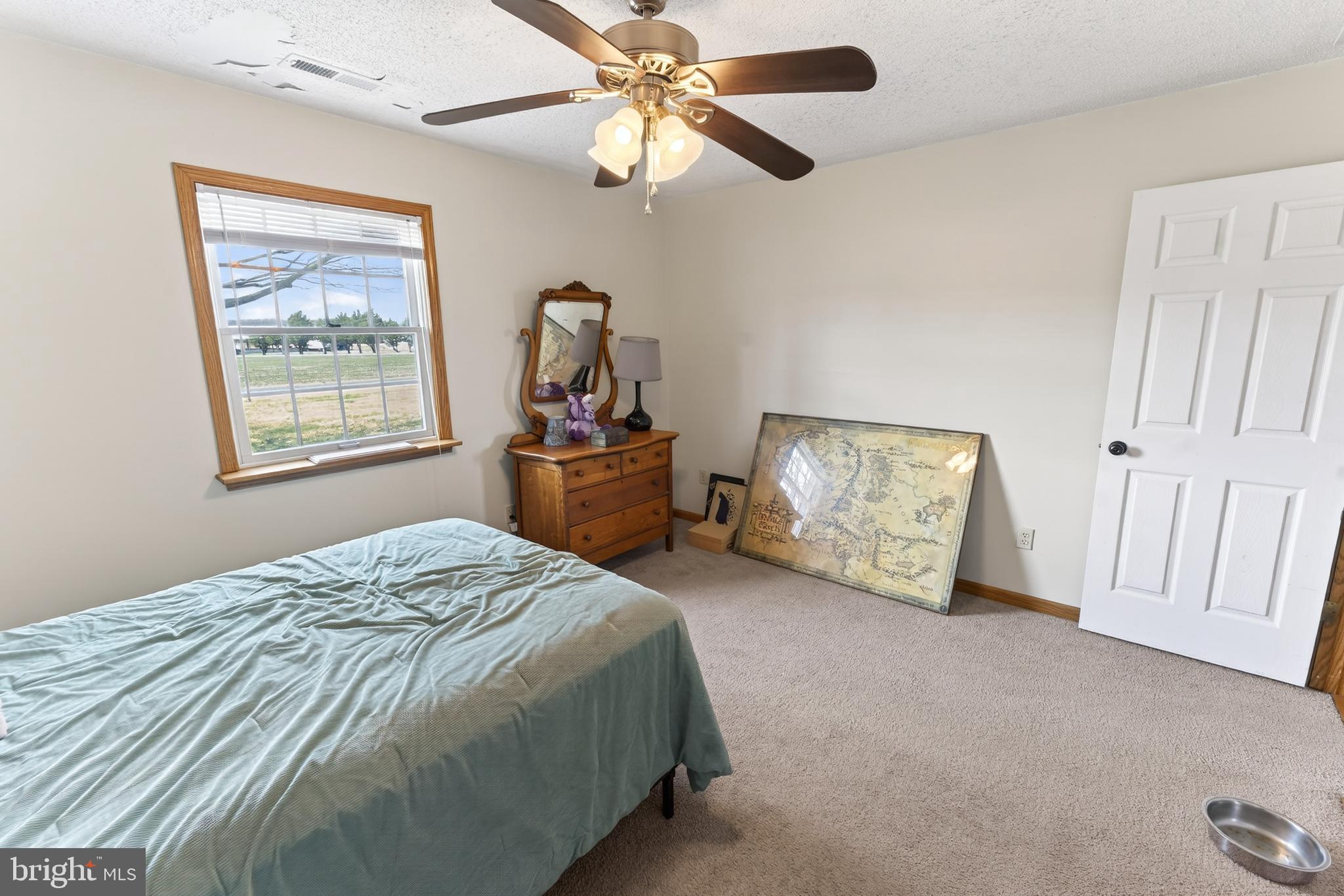 30077 Fire Tower Road Laurel, DE 19956 - Photo 46 of 68