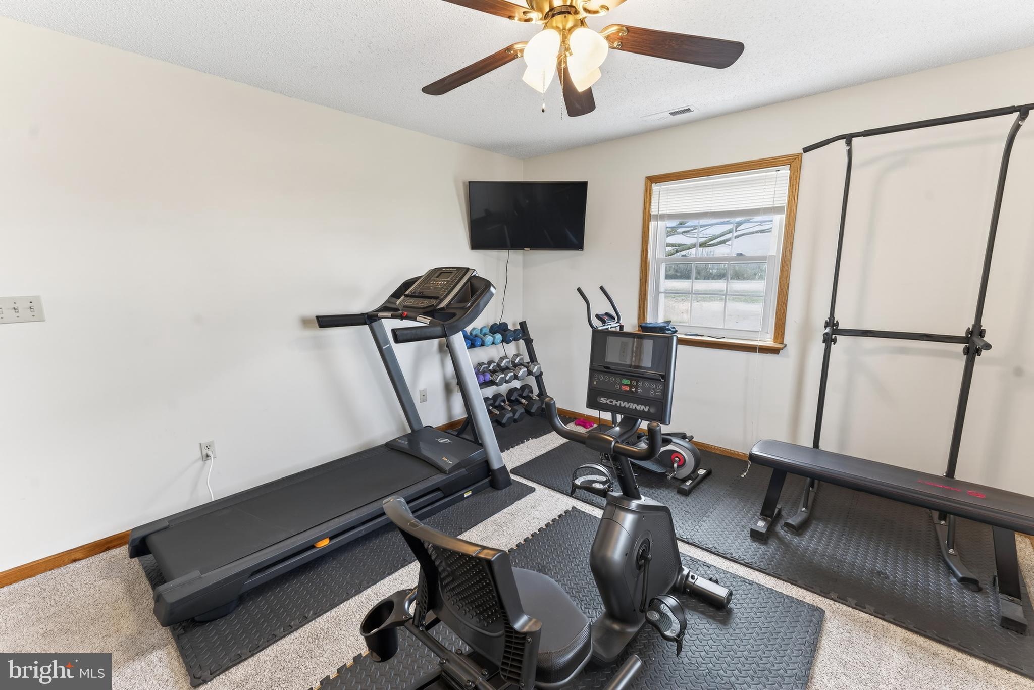 30077 Fire Tower Road Laurel, DE 19956 - Photo 52 of 68