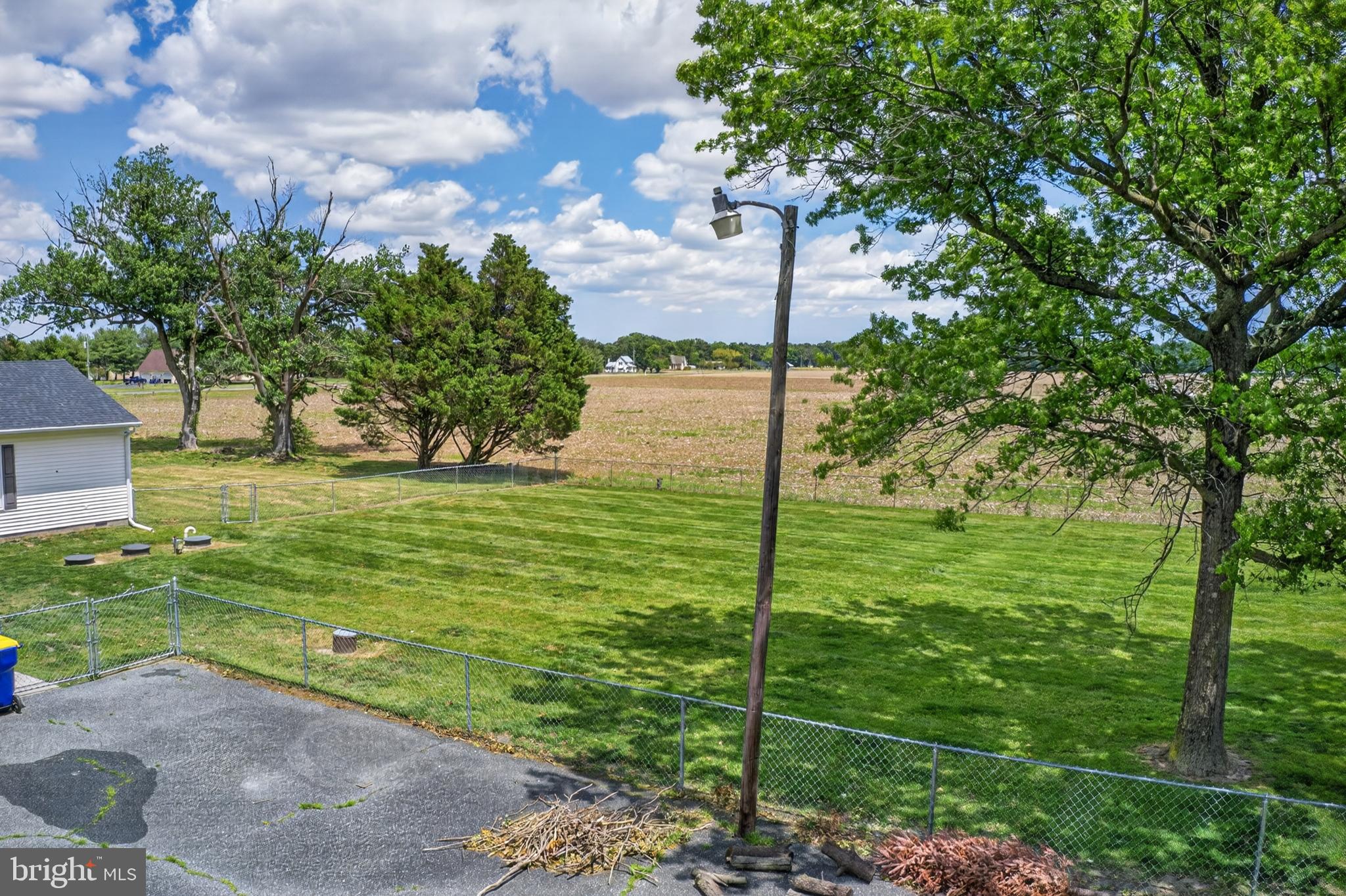 30077 Fire Tower Road Laurel, DE 19956 - Photo 85 of 87 a view of a garden with a tree