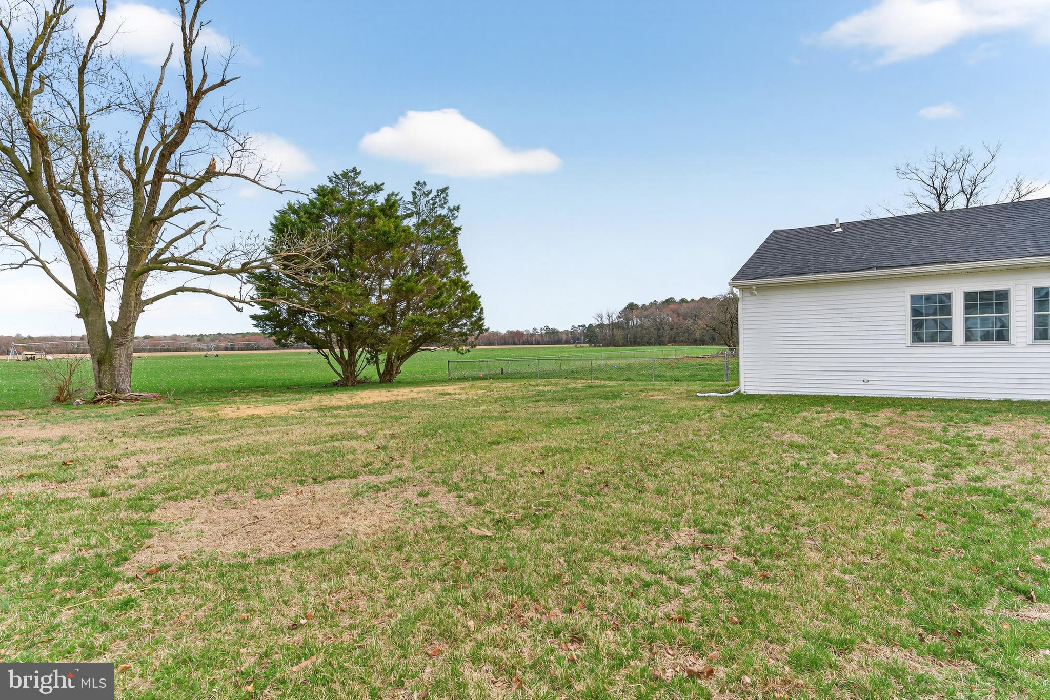 30077 Fire Tower Road Laurel, DE 19956 - Photo 9 of 68