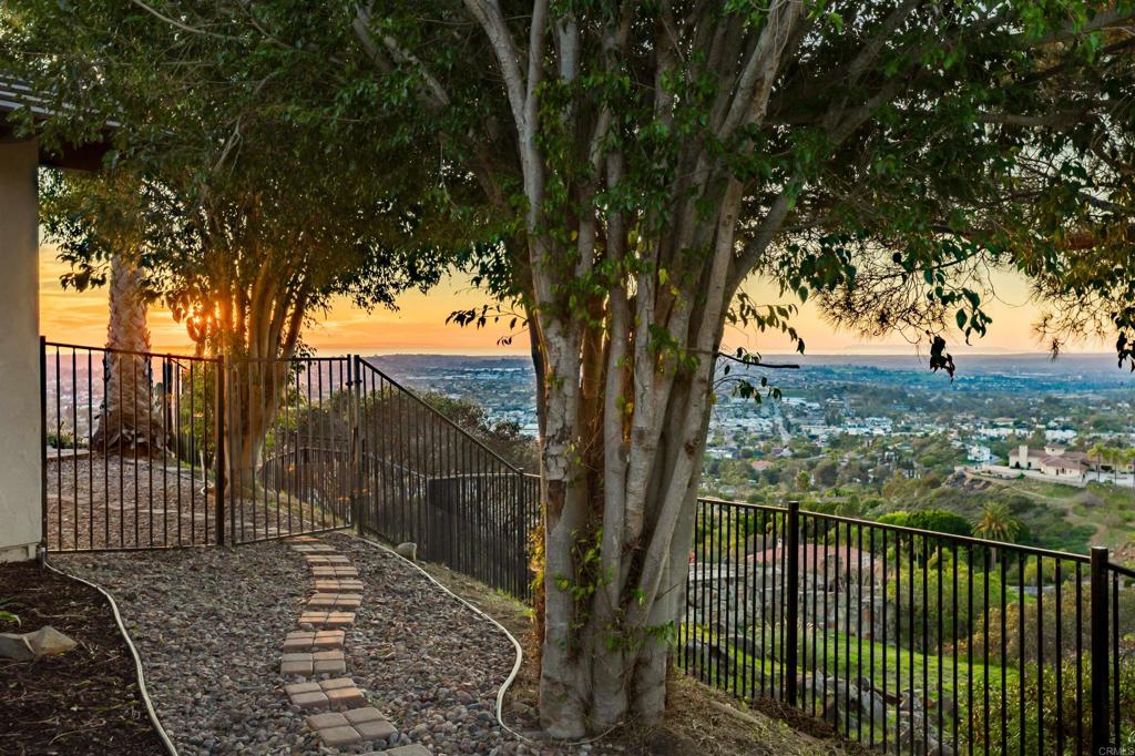 1966 Las Lomas Vista, CA 92084 - Photo 10 of 48 a view of a yard with a large tree