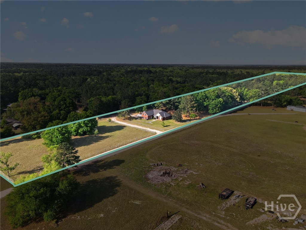 903 Olive Branch Road Ellabell, GA 31308 - Photo 53 of 62