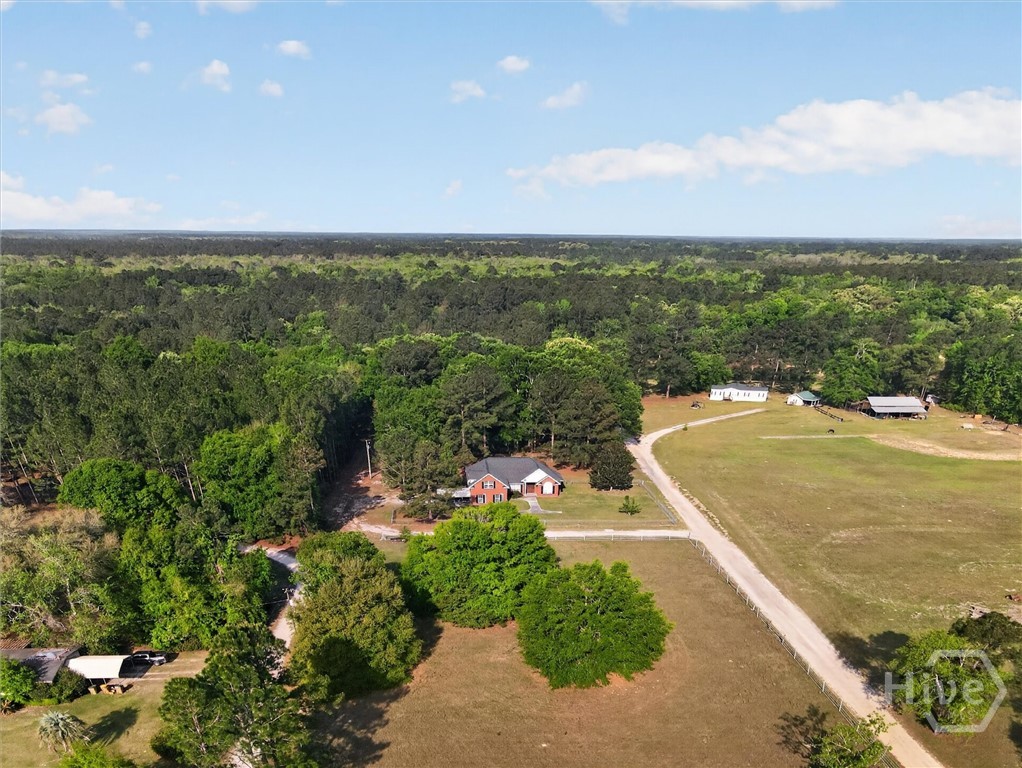 903 Olive Branch Road Ellabell, GA 31308 - Photo 55 of 62