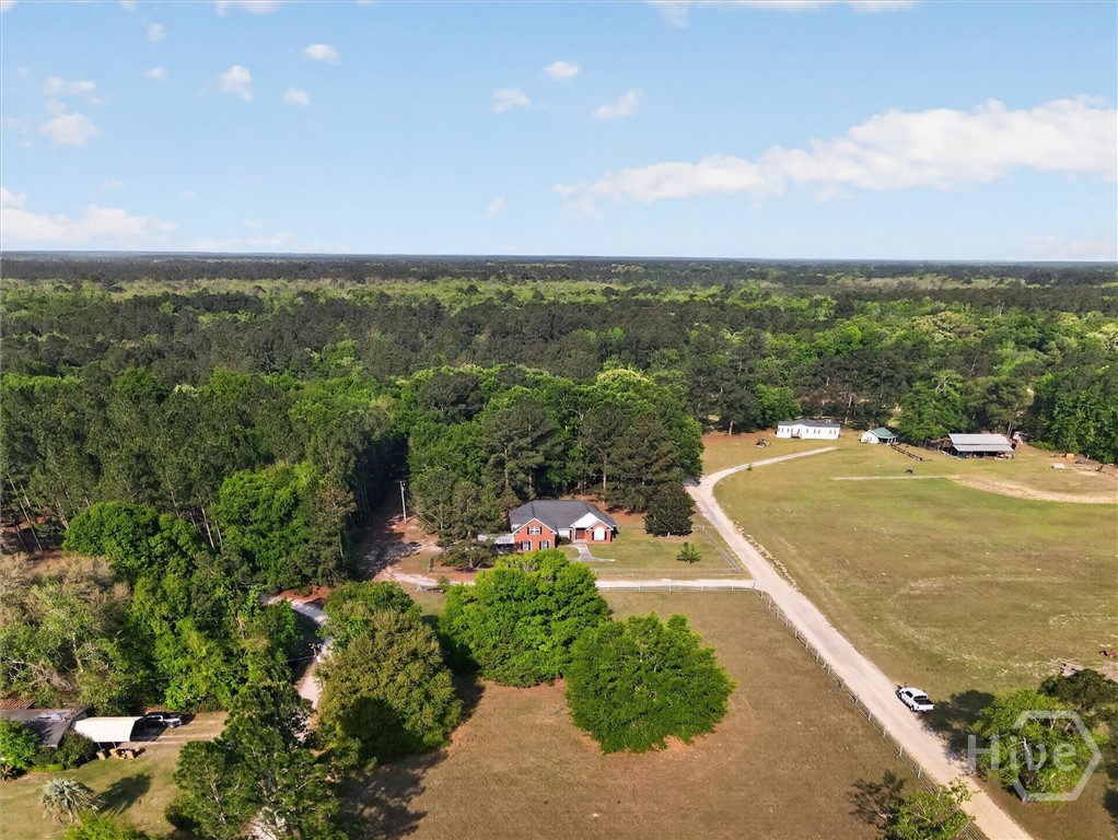 903 Olive Branch Road Ellabell, GA 31308 - Photo 58 of 62