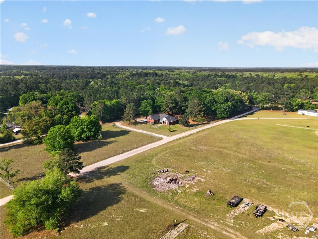 903 Olive Branch Road Ellabell, GA 31308 - Photo 60 of 62