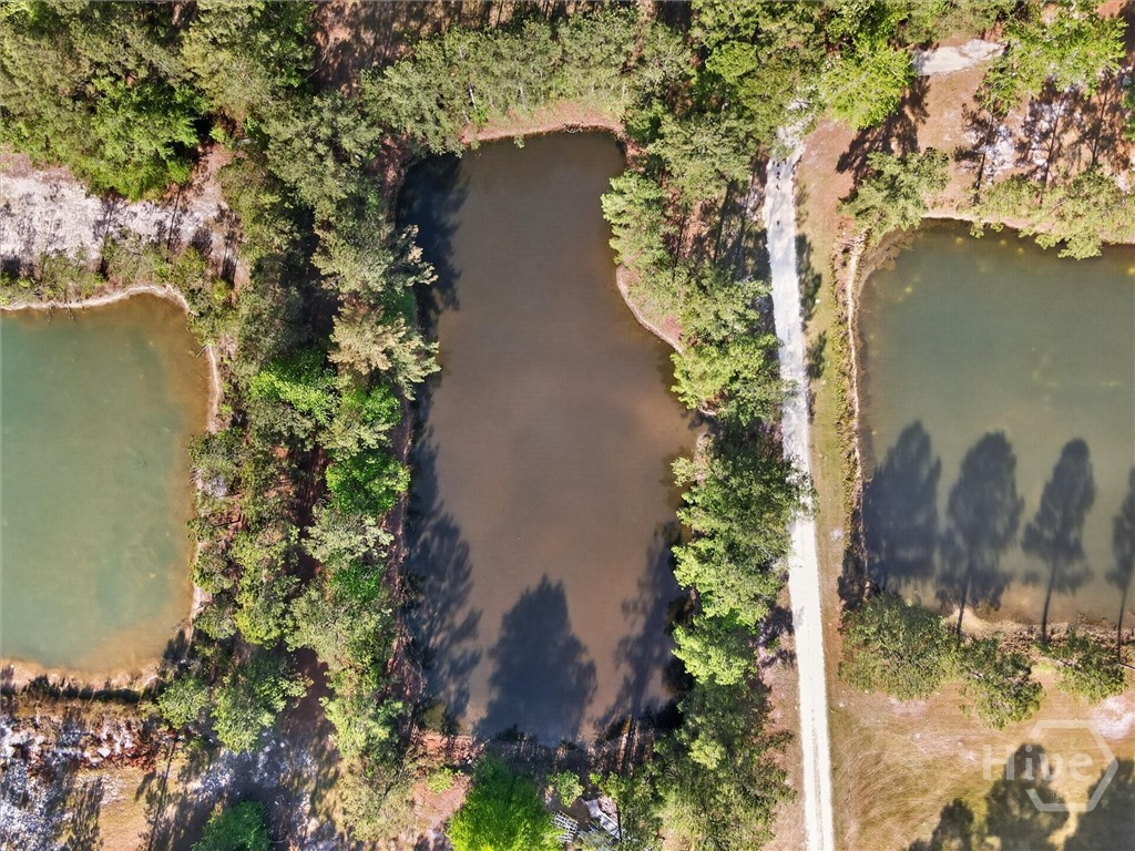 903 Olive Branch Road Ellabell, GA 31308 - Photo 61 of 62