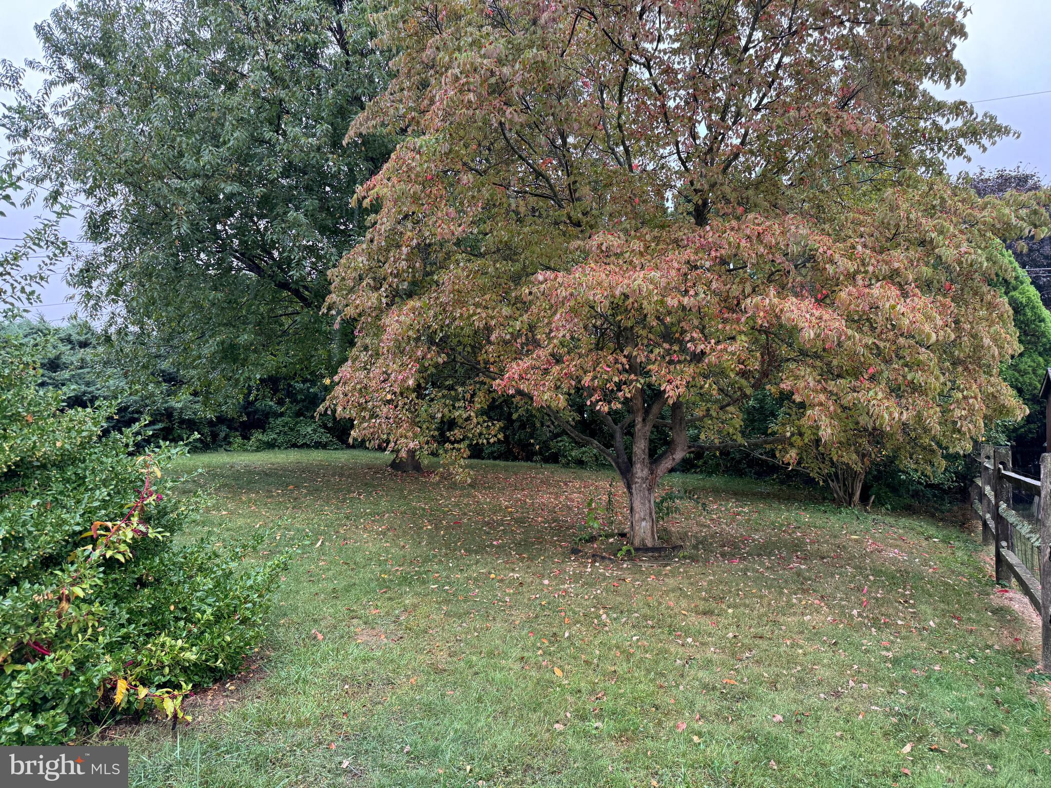 855 Anthony Avenue Waynesboro, PA 17268 - Photo 5 of 56