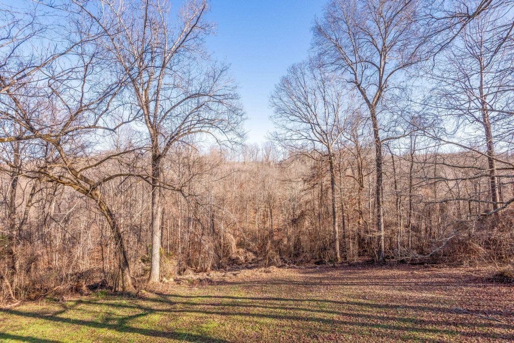 956 Pack Road White Bluff, TN 37187 - Photo 16 of 16 Gallery Image 16