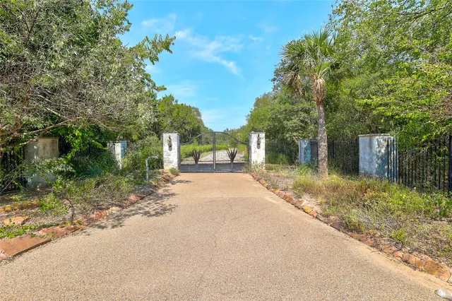 a view of a yard with plants and trees