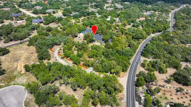 a close up of a tree in a garden