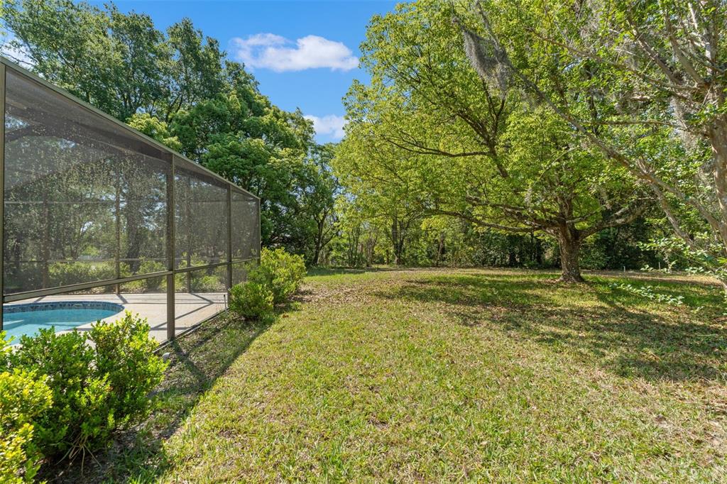 1379 Matthew Avenue Spring Hill, FL 34609 - Photo 49 of 55 a view of backyard with green space