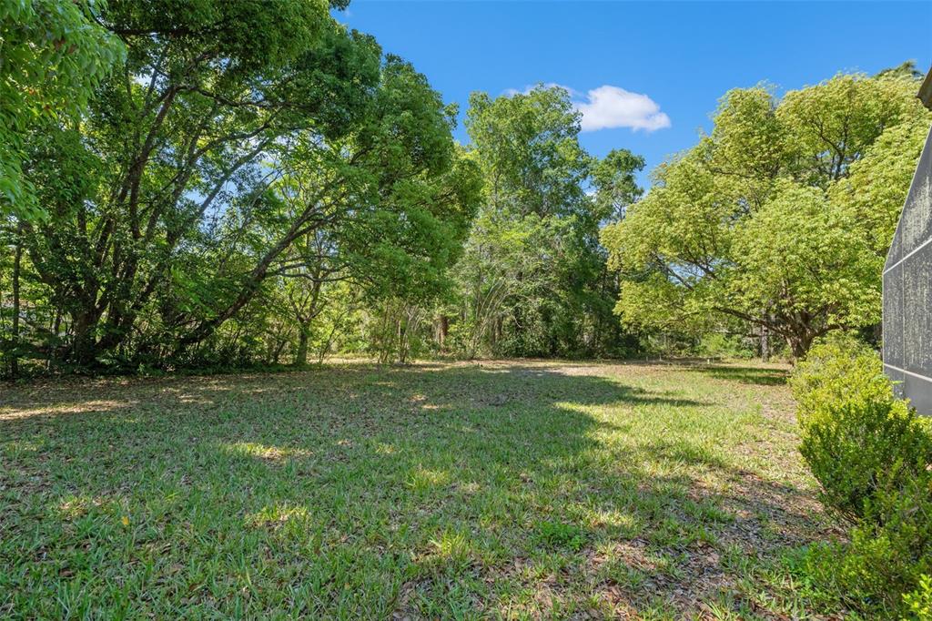 1379 Matthew Avenue Spring Hill, FL 34609 - Photo 50 of 55 a view of a field with a trees