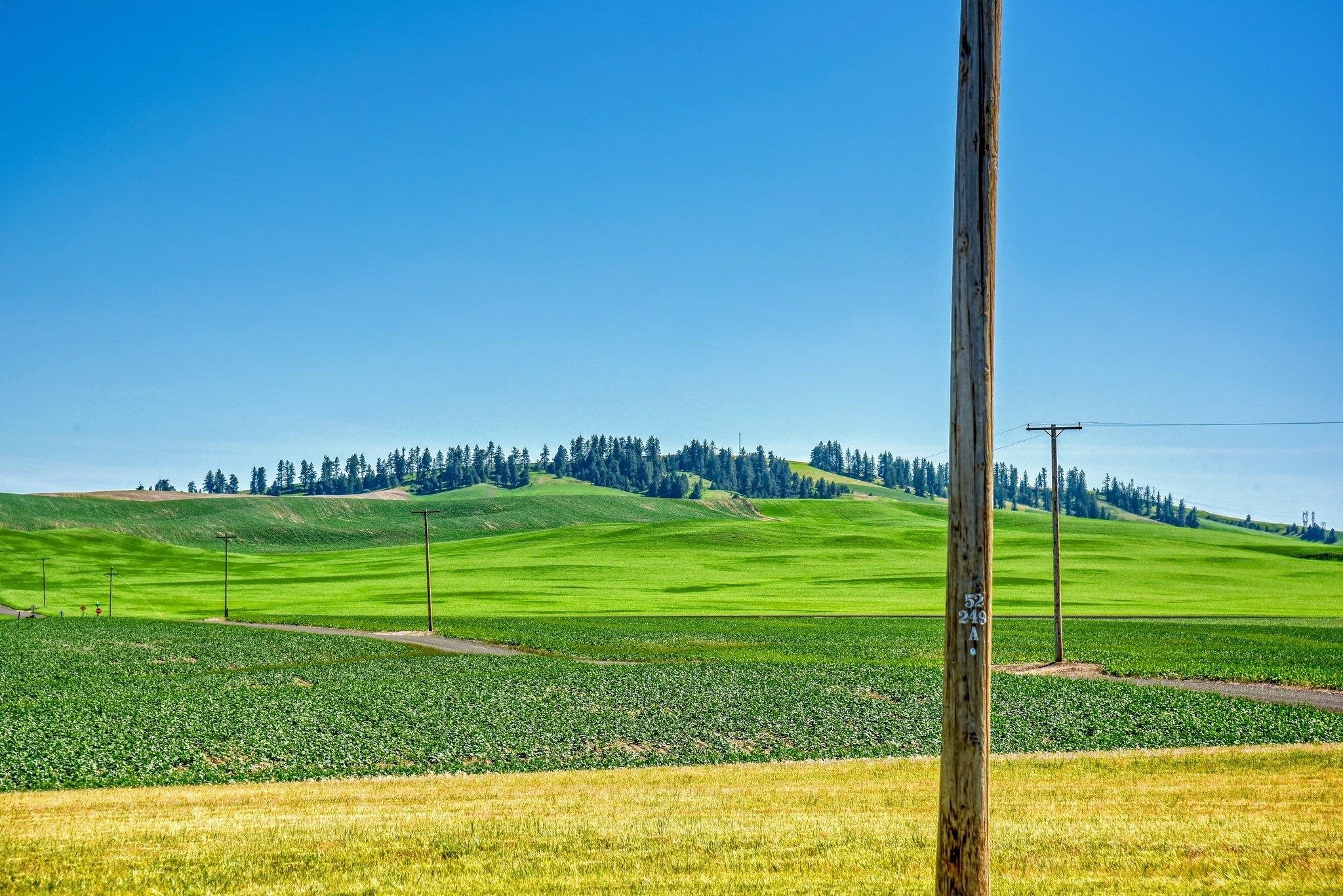 13404 North Carstens Road Reardan, WA 99029 - Photo 4 of 44