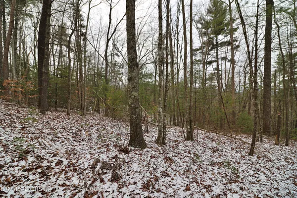 $265,000 | 3063 Leatherwood Road, Oneida, TN 37841