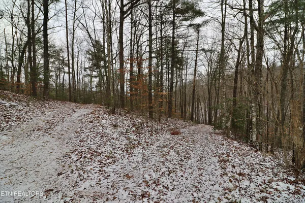 $265,000 | 3063 Leatherwood Road, Oneida, TN 37841