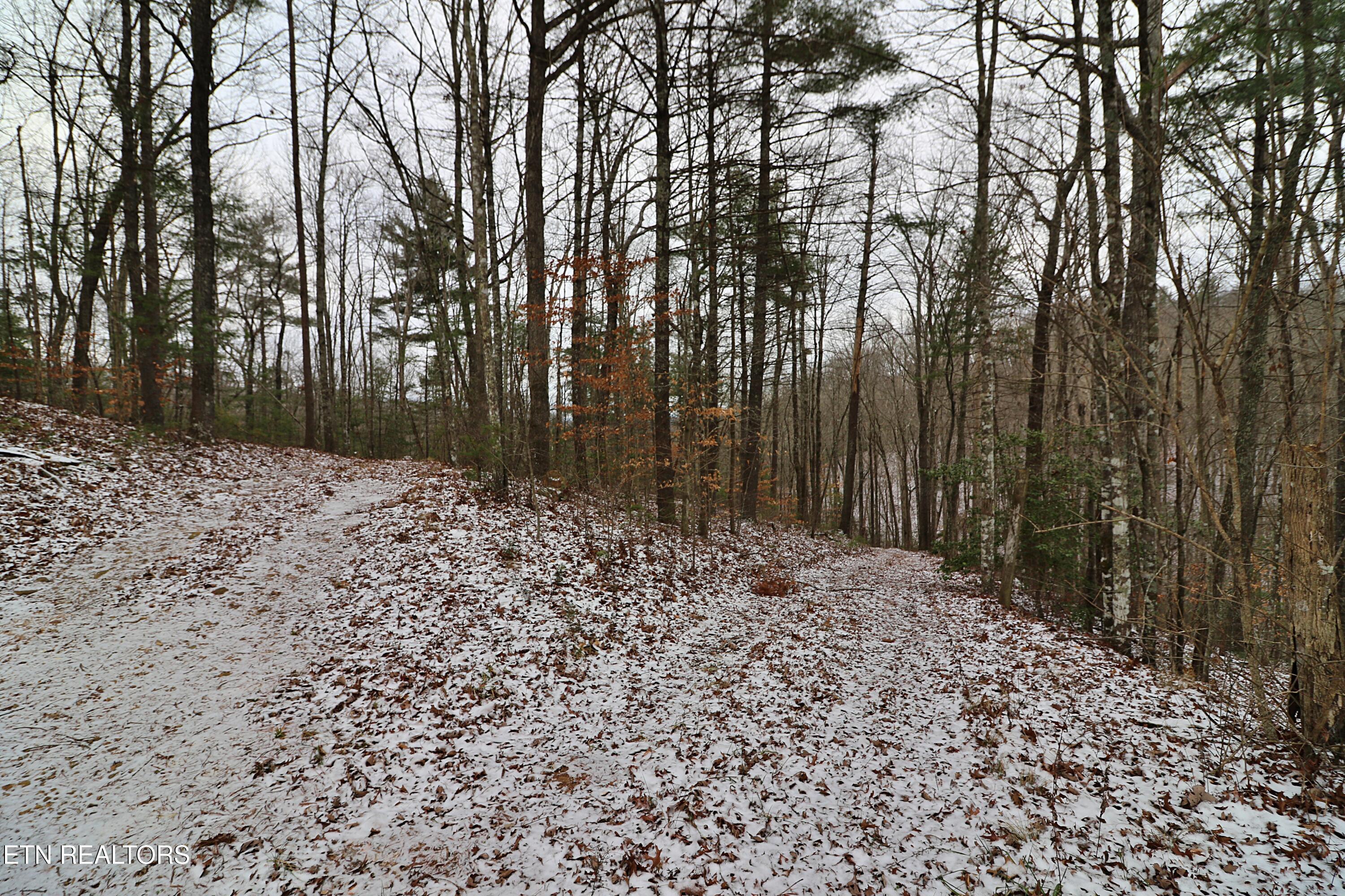 3063 Leatherwood Road Oneida, TN 37841 - Photo 4 of 14 094A9977