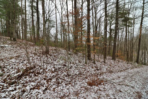 $265,000 | 3063 Leatherwood Road, Oneida, TN 37841