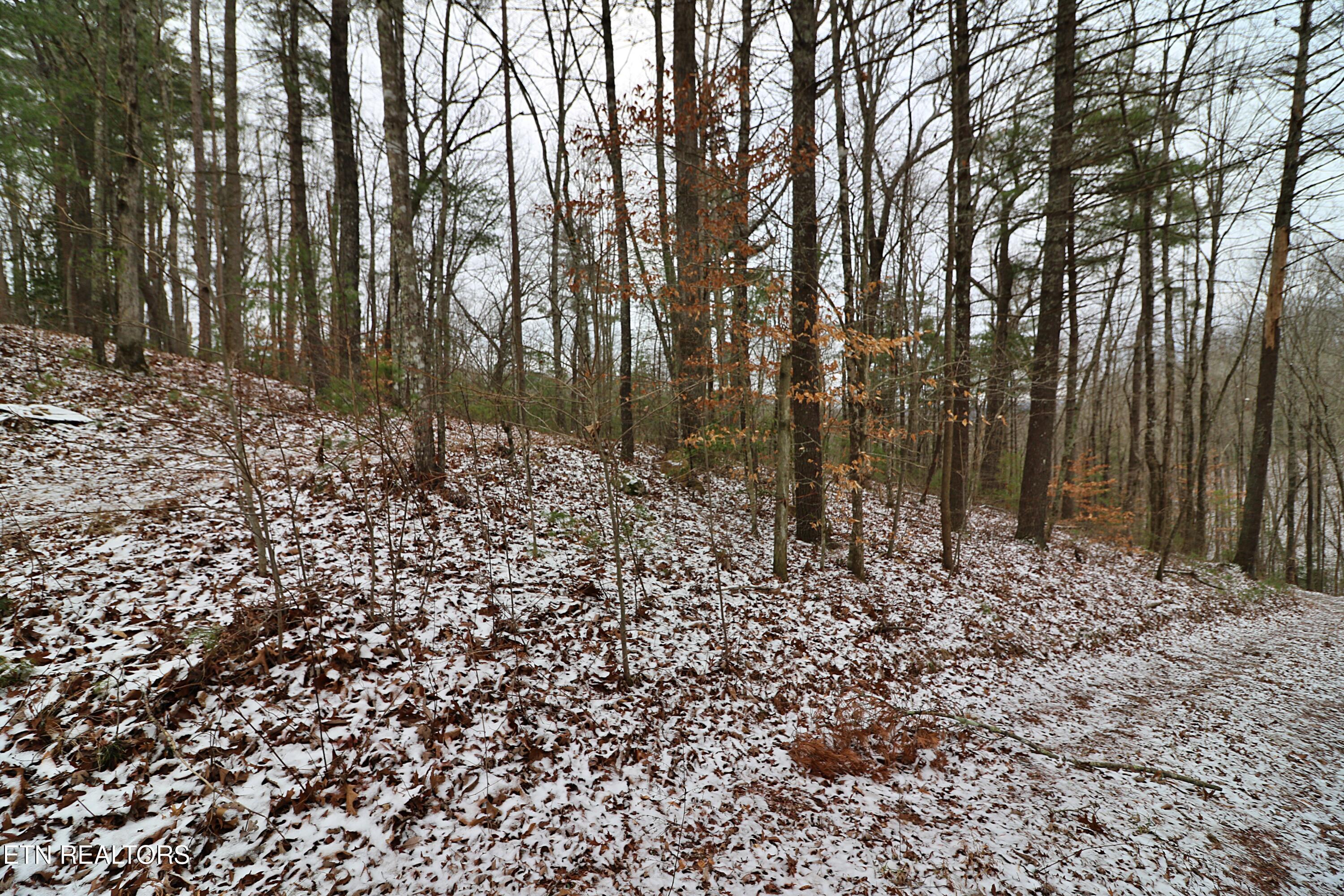 3063 Leatherwood Road Oneida, TN 37841 - Photo 5 of 14 094A9984