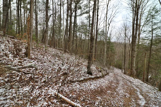 $265,000 | 3063 Leatherwood Road, Oneida, TN 37841