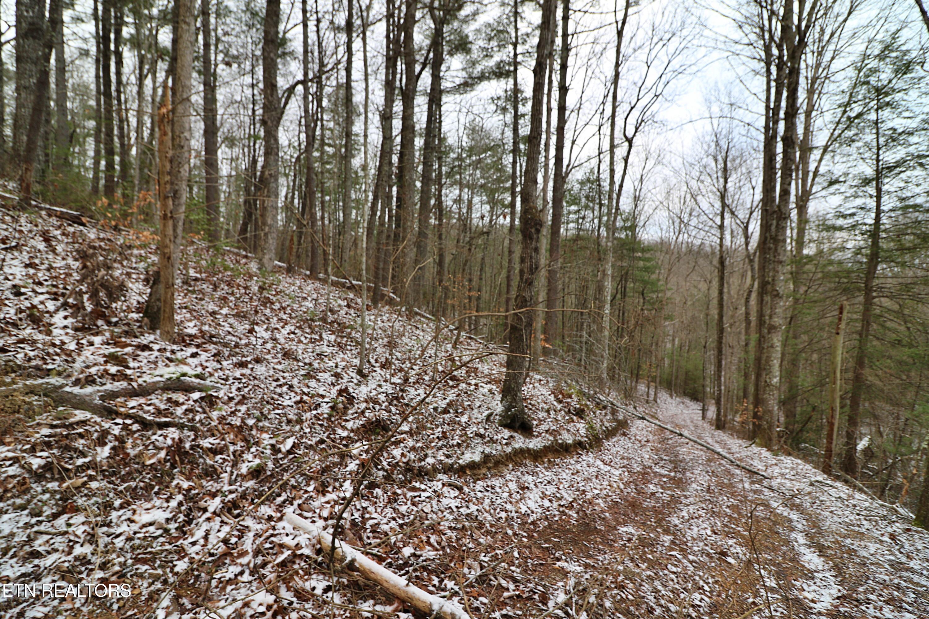 3063 Leatherwood Road Oneida, TN 37841 - Photo 7 of 14 094A9982