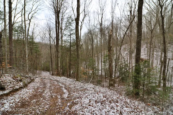 $265,000 | 3063 Leatherwood Road, Oneida, TN 37841
