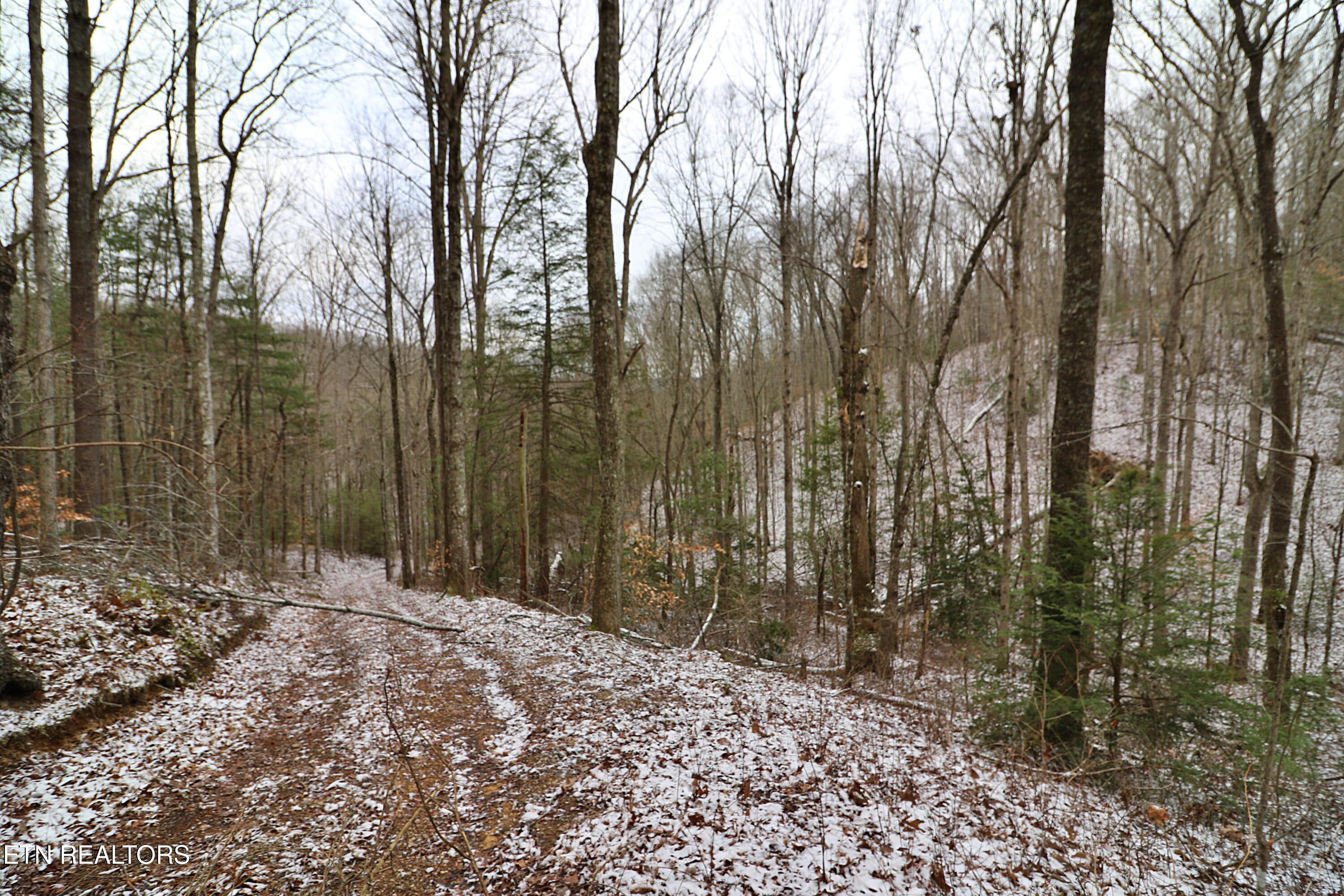 3063 Leatherwood Road Oneida, TN 37841 - Photo 8 of 14 094A9981