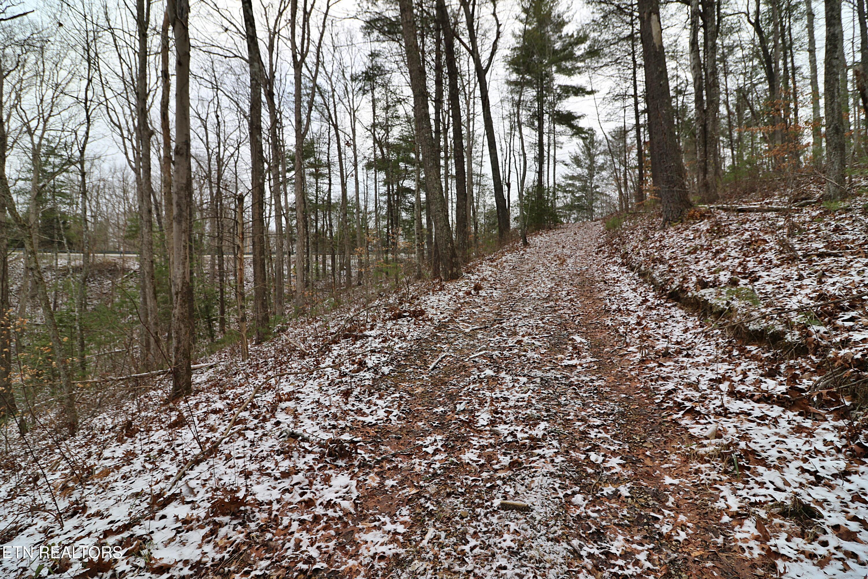 3063 Leatherwood Road Oneida, TN 37841 - Photo 9 of 14 094A9980