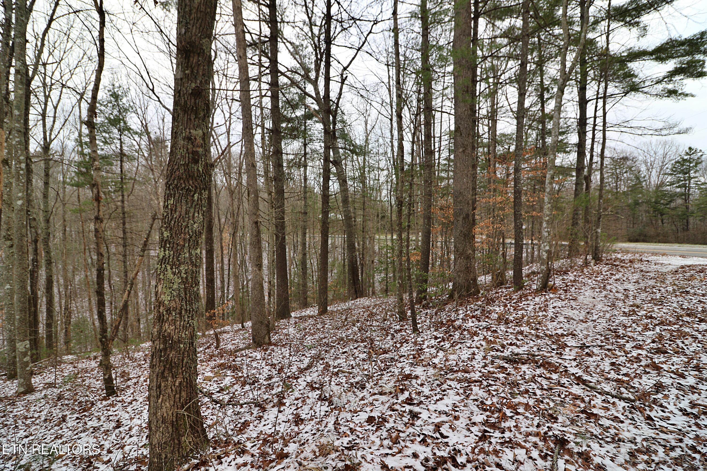 3063 Leatherwood Road Oneida, TN 37841 - Photo 10 of 14 094A9979