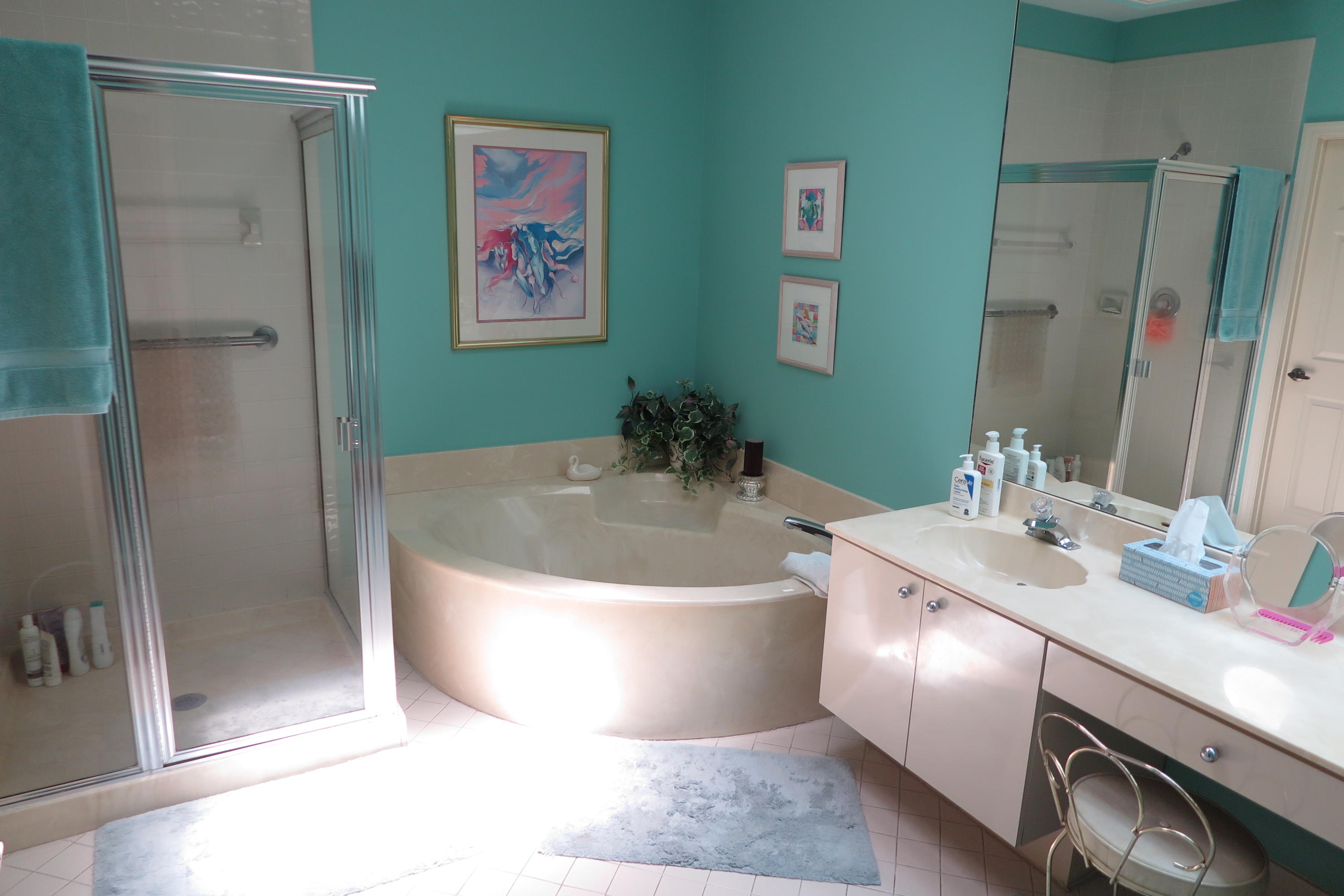 7172 Via Palomar Boca Raton, FL 33433 - Photo 8 of 14 MASTER BATHROOM
