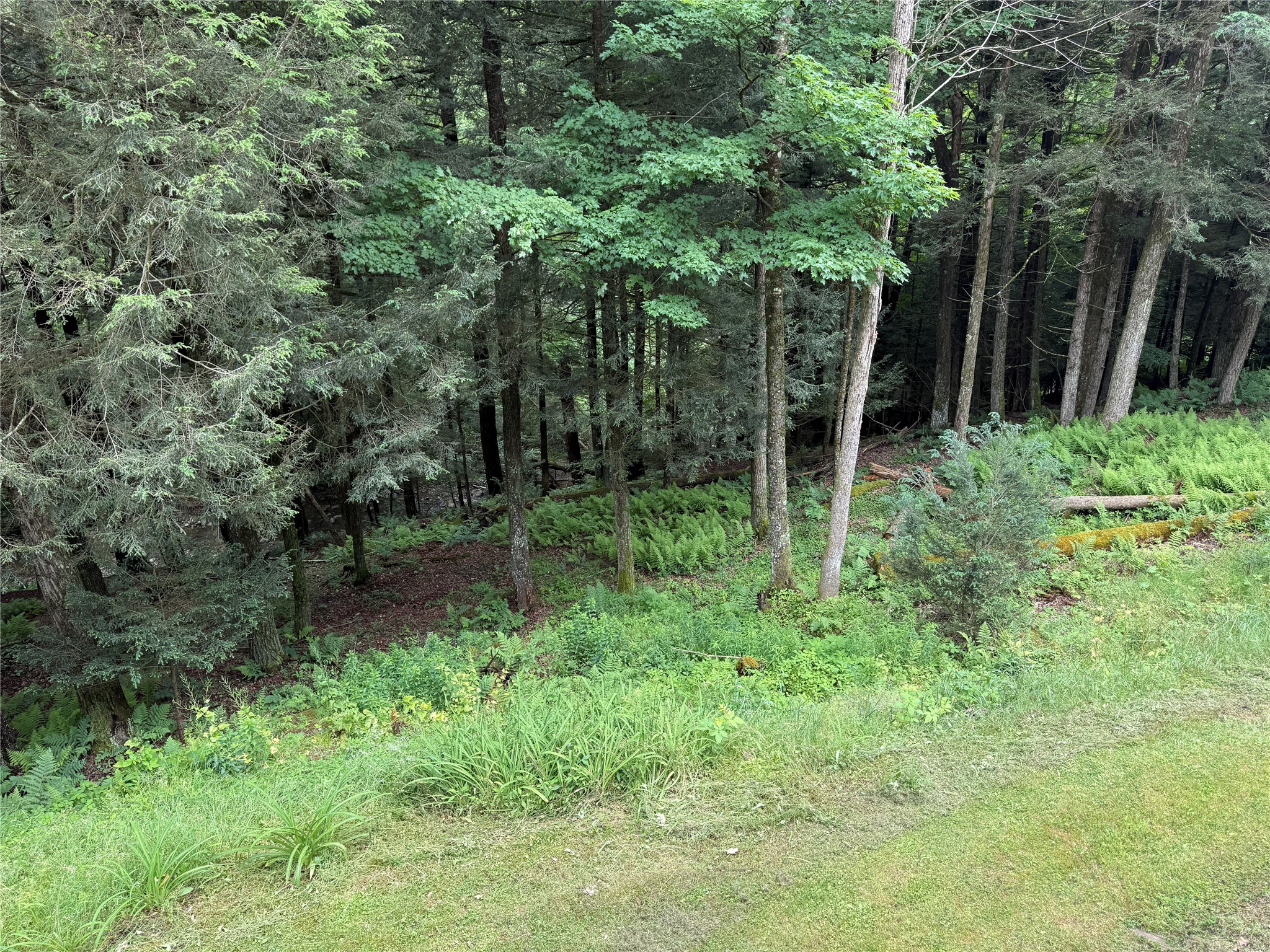 624 Blatchley Road Windsor, NY 13865 - Photo 30 of 34