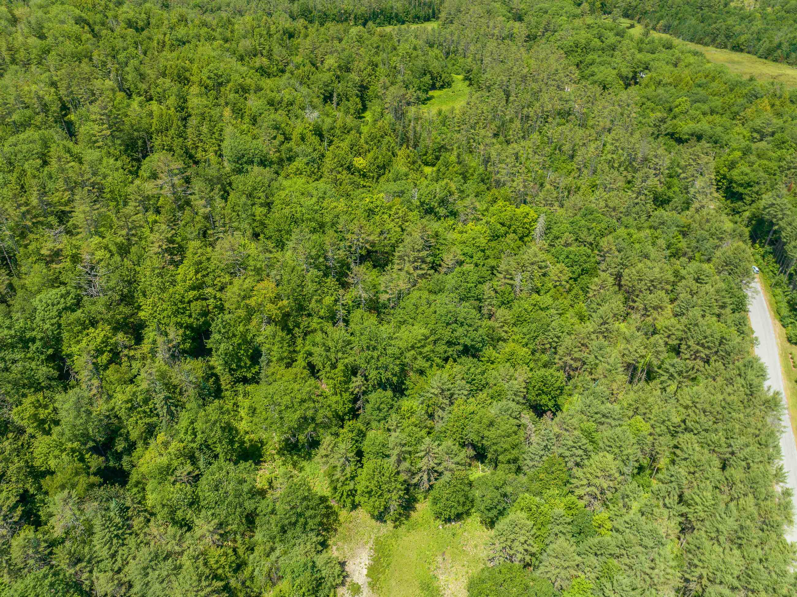 Lyman Road Lyman, NH 03585 - Photo 6 of 20